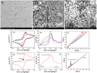 Catalysts 03 00288 g006 200
