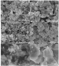 Catalysts 03 00324 g001 200