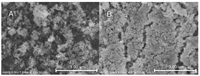 Catalysts 03 00324 g002 200