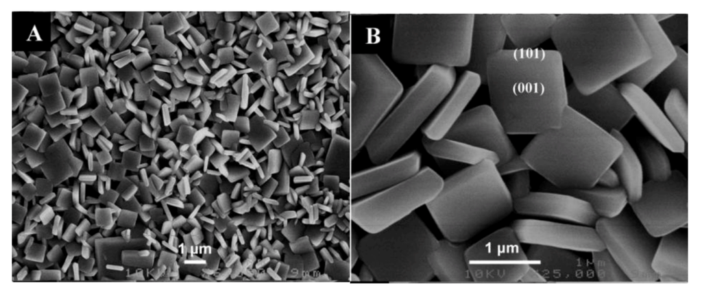 Catalysts 03 00455 g004 1024