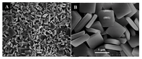 Catalysts 03 00455 g004 200