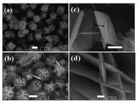 Catalysts 03 00455 g010 200