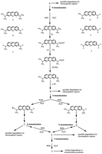 Catalysts 03 00501 g013 200