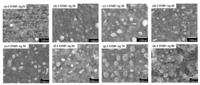 Catalysts 03 00625 g004 200