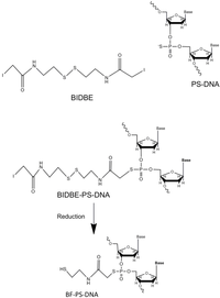 Catalysts 03 00683 g001 200