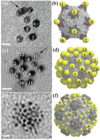 Catalysts 03 00683 g006 200