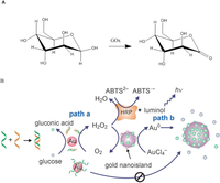 Catalysts 03 00683 g008 200