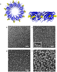 Catalysts 03 00683 g009 200