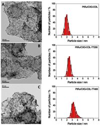 Catalysts 03 00744 g002 200