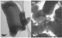 Catalysts 03 00774 g004 200