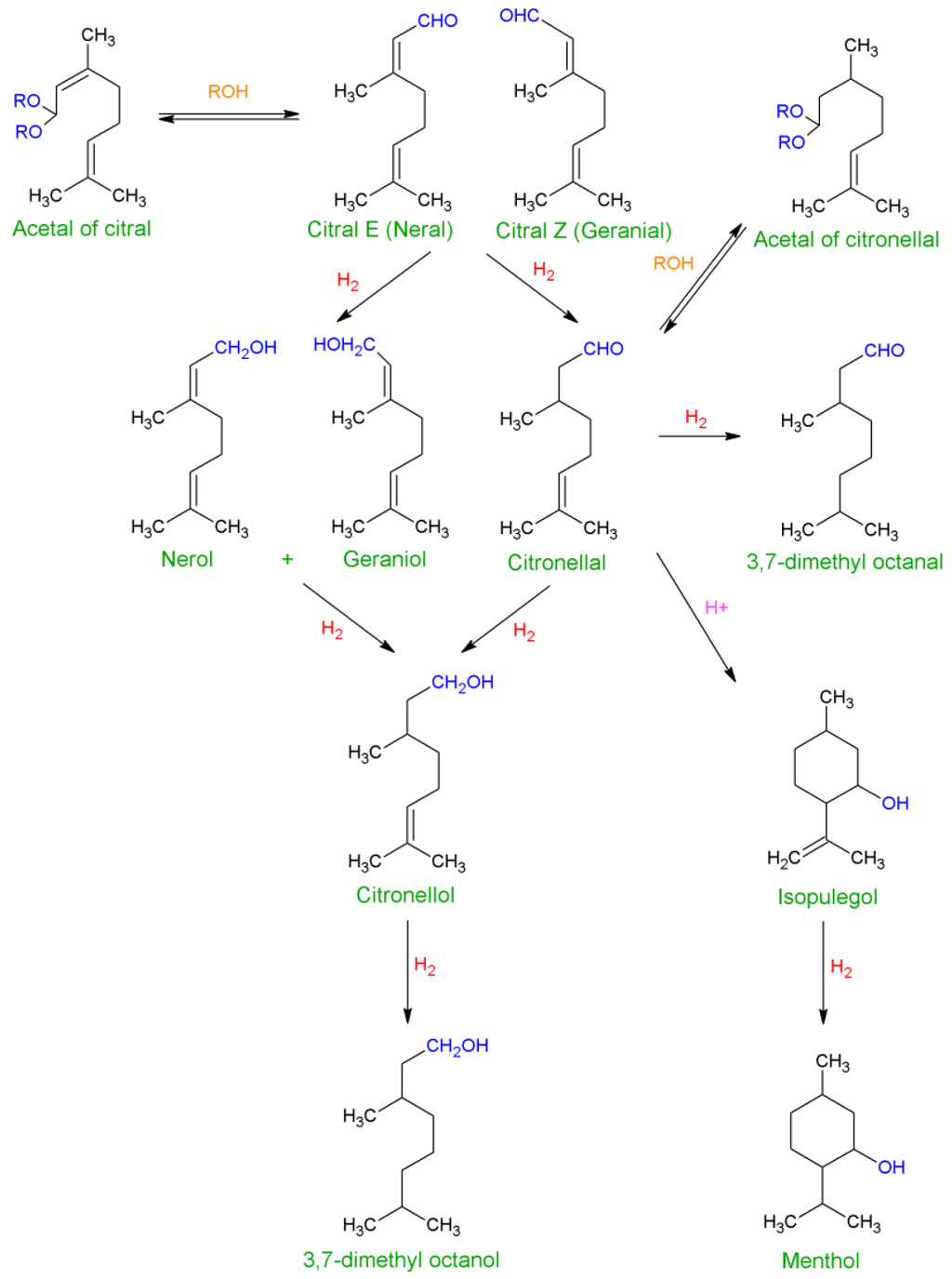 Catalysts 03 00853 g002 1024
