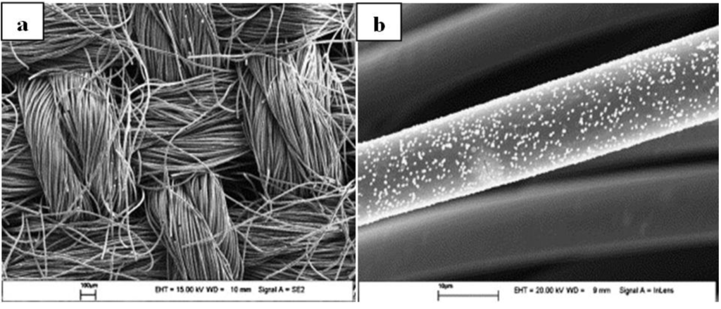 Catalysts 03 00853 g004 1024