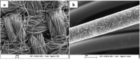 Catalysts 03 00853 g004 200