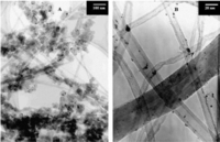 Catalysts 03 00853 g006 200