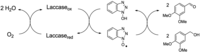 Catalysts 04 00001 g001 200