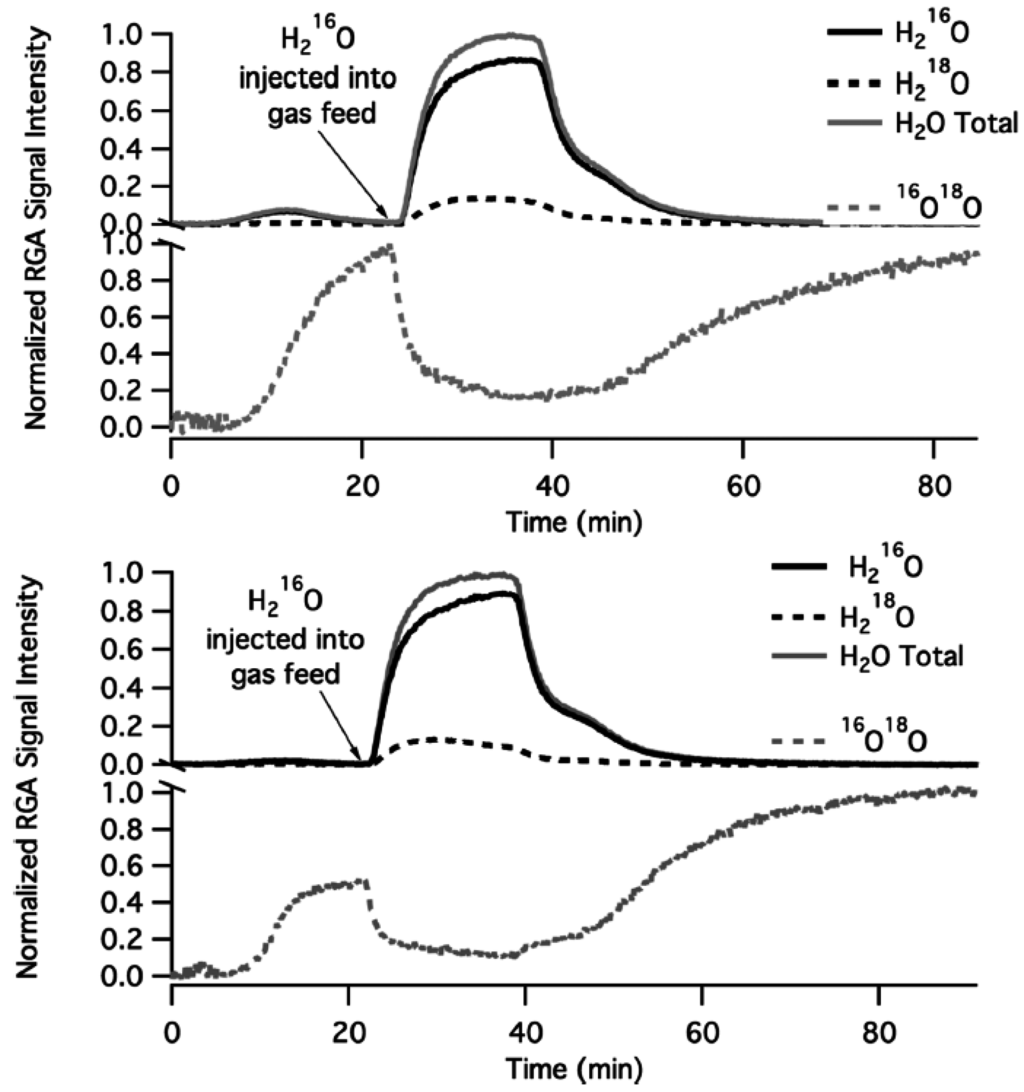 Catalysts Special Issue Advances in Catalyst Deactivation