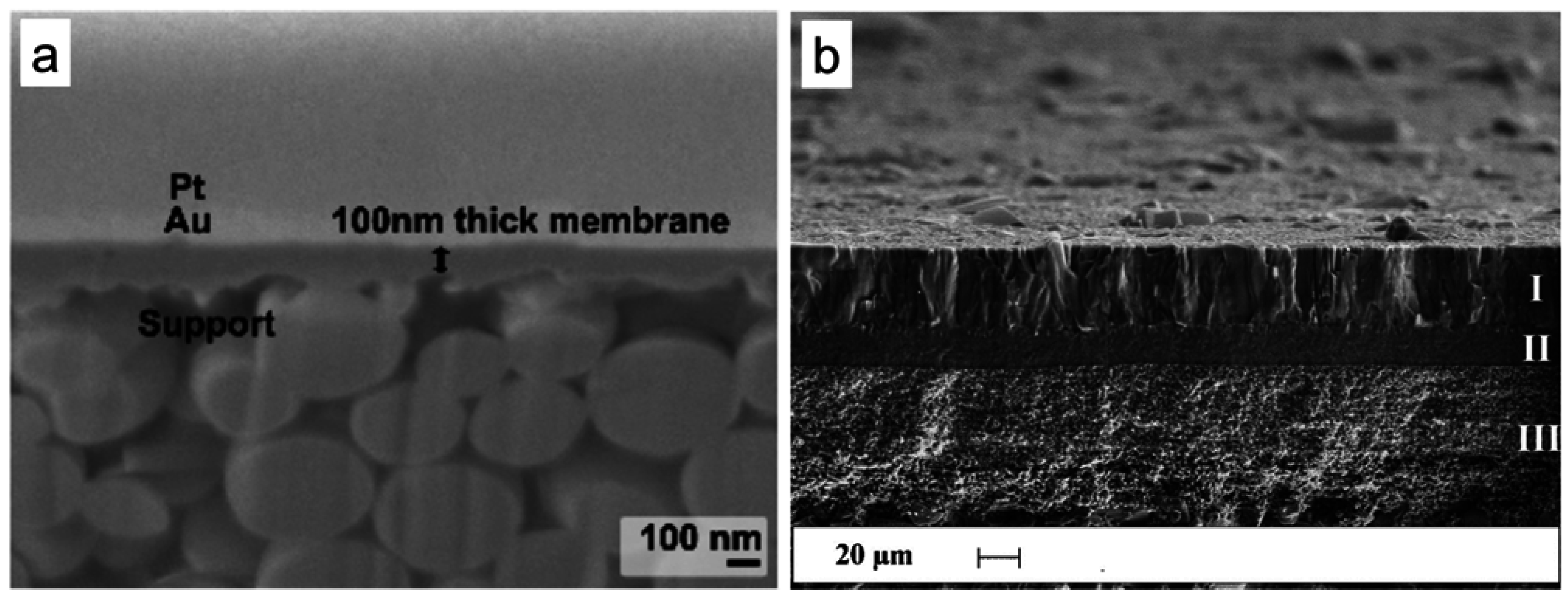 Catalysts Free FullText Zeolite Membranes in Catalysis—From