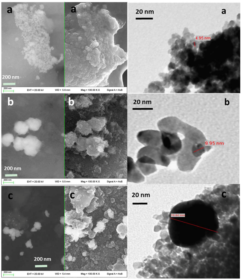 Catalysts 06 00087 g006 1024