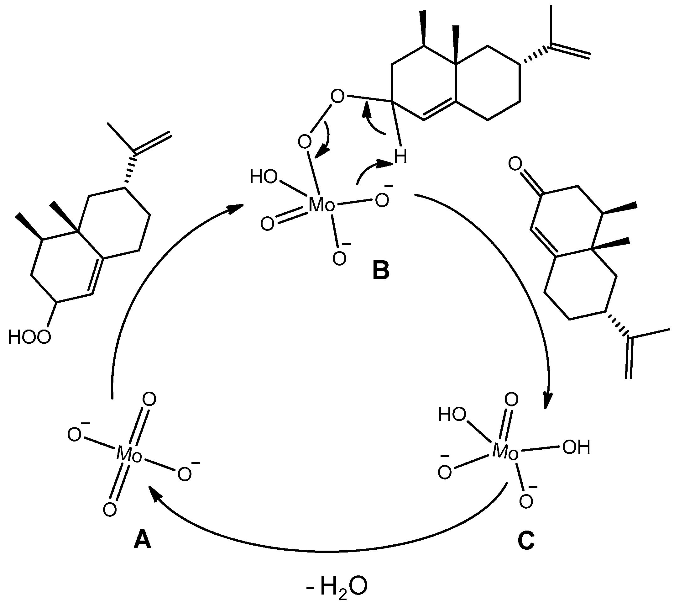 Catalysts 06 00184 g005