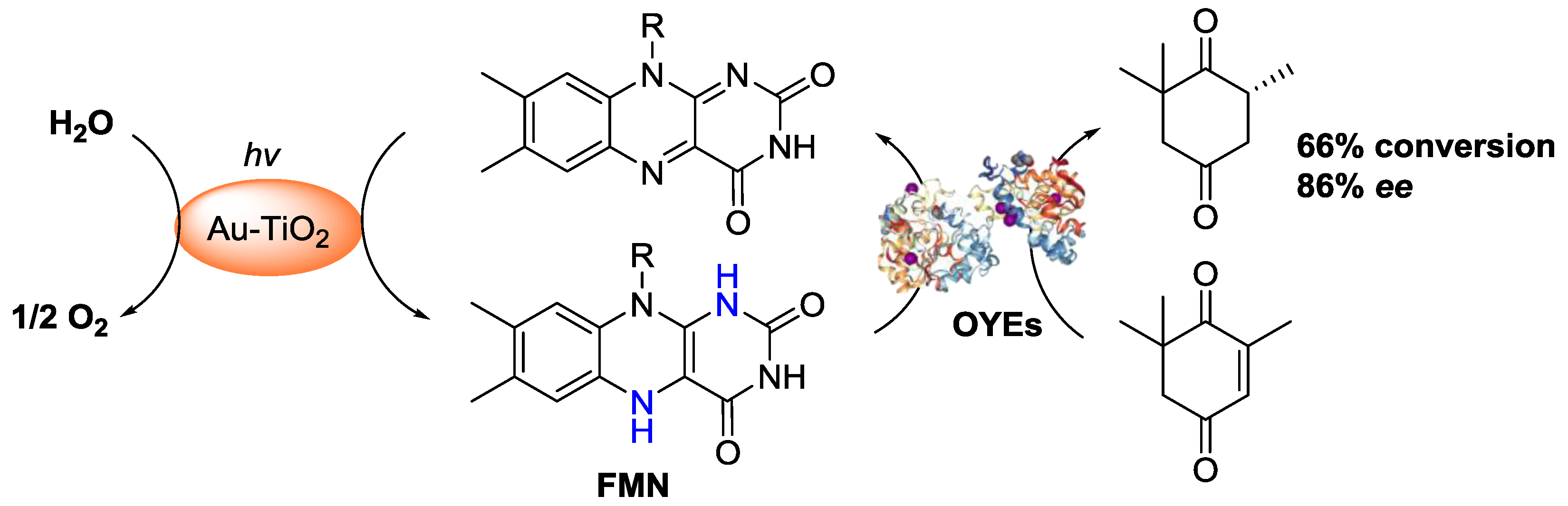 bond metathesis Ring opening metathesis polymerization (romp) catalytic process ⇒ efficacy of process is dependent on catalyst polymer is also dependent on monomer structure. bond metathesis Ring opening metathesis polymerization (romp) catalytic process ⇒ efficacy of process is dependent on catalyst polymer is also dependent on monomer structure.