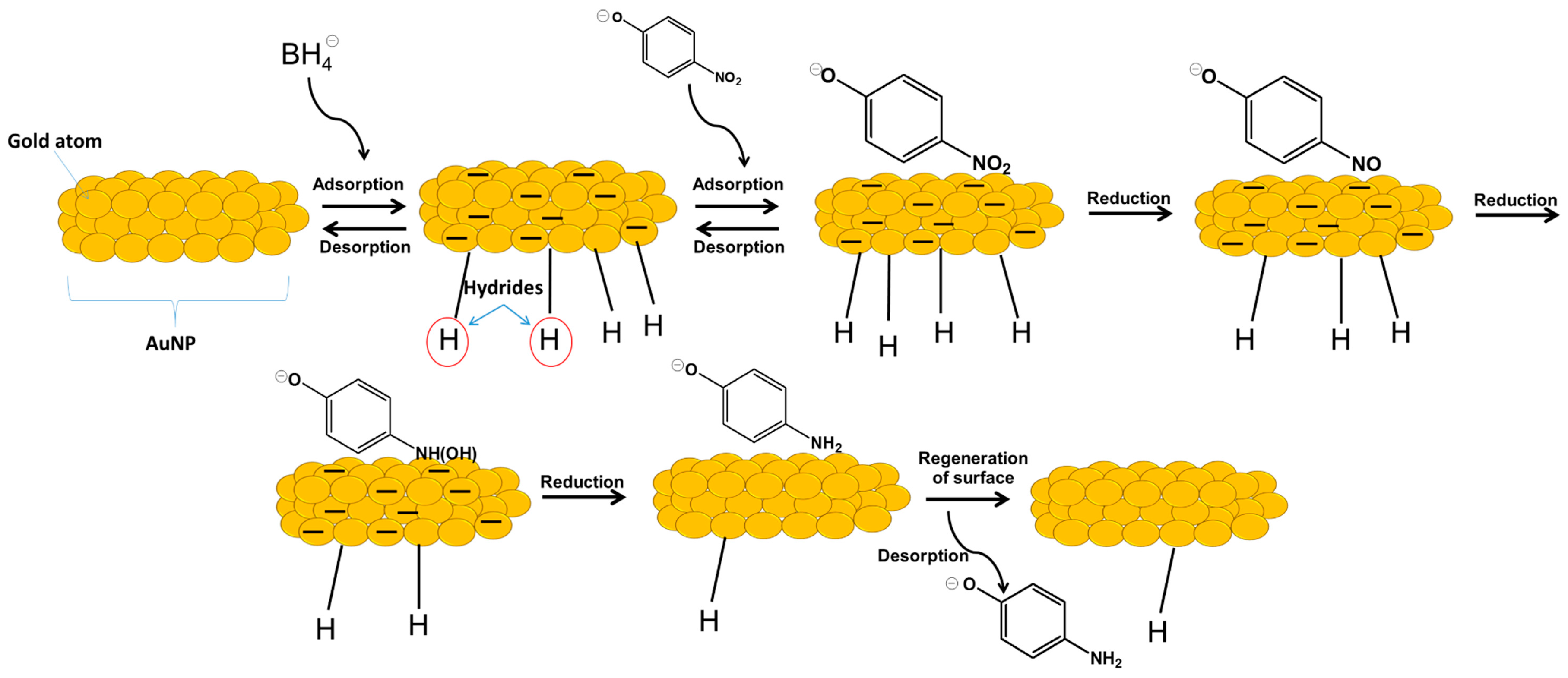 Gold Nanoparticle Suzuki Coupling Gold Nanoparticle Suzuki Coupling