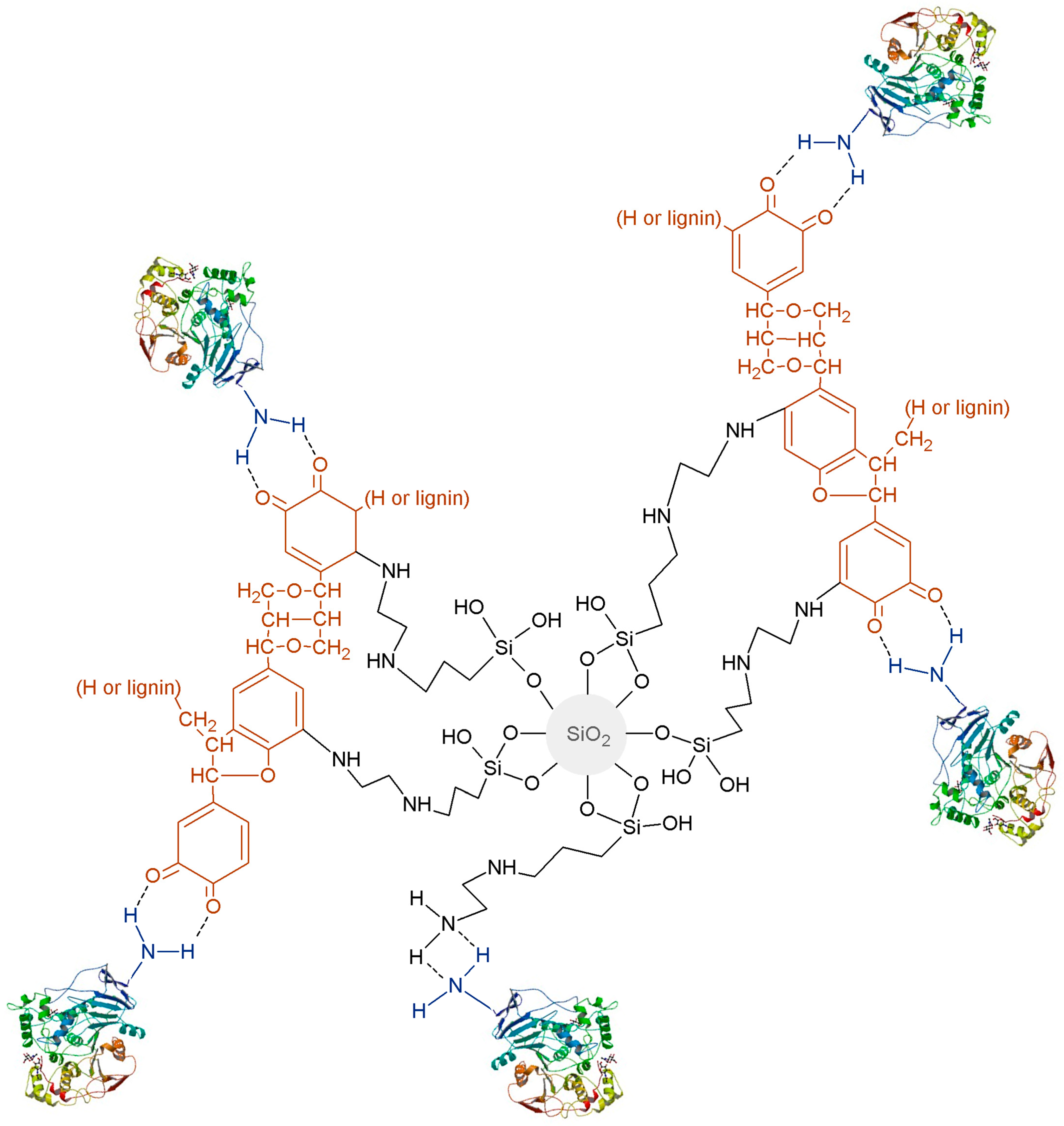 download therapeutic protein