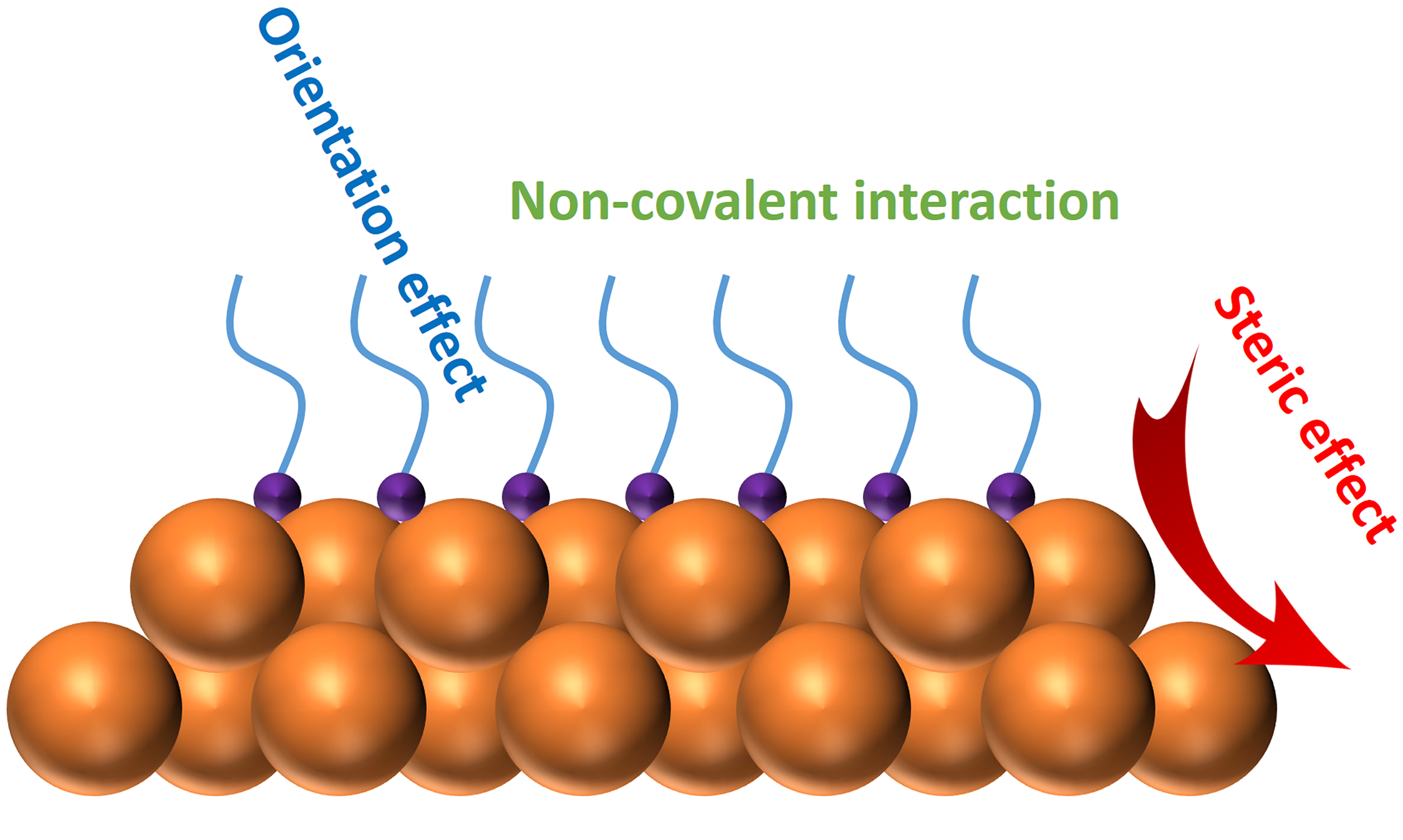 Engineering surface ligands of noble metal nanocatalysts in tuning the product selectivity