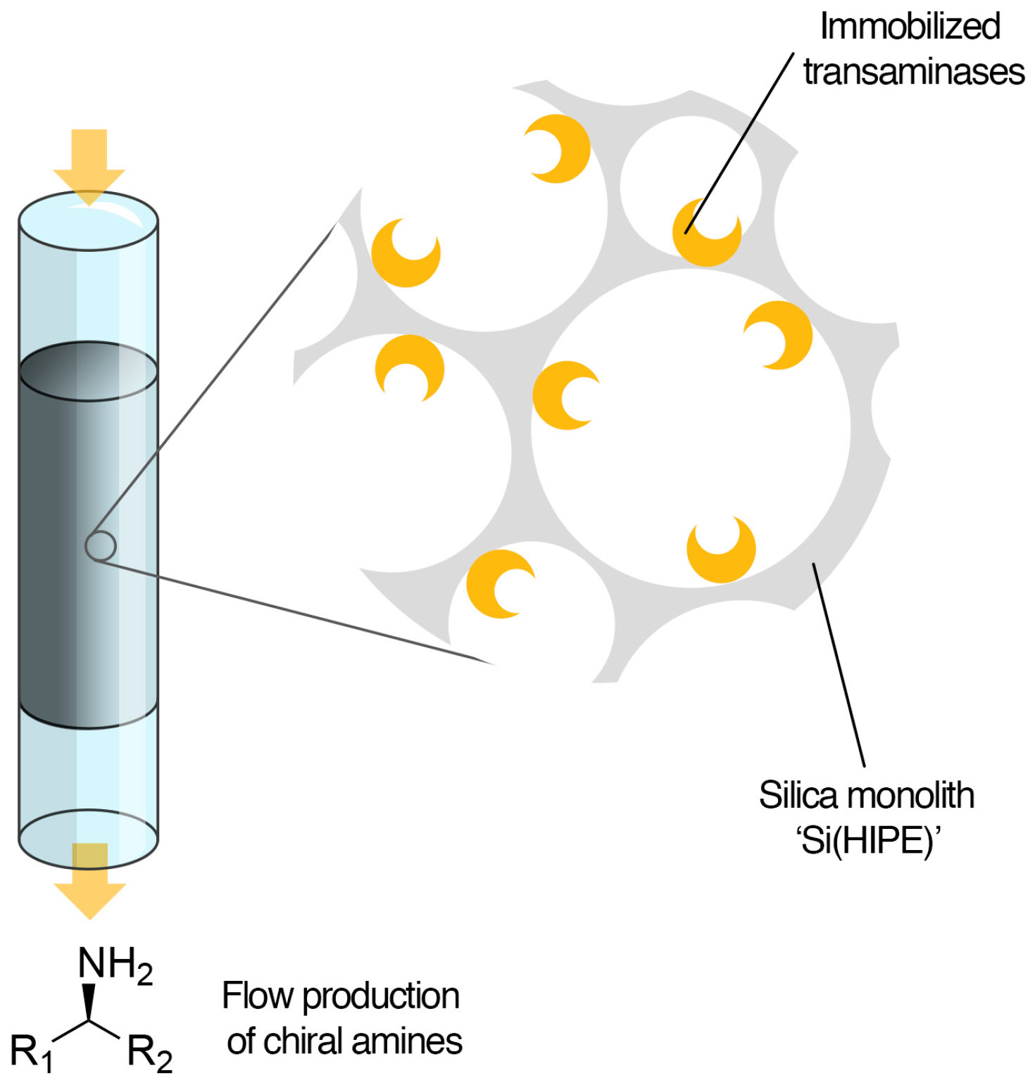 Catalysts 07 00054 g001