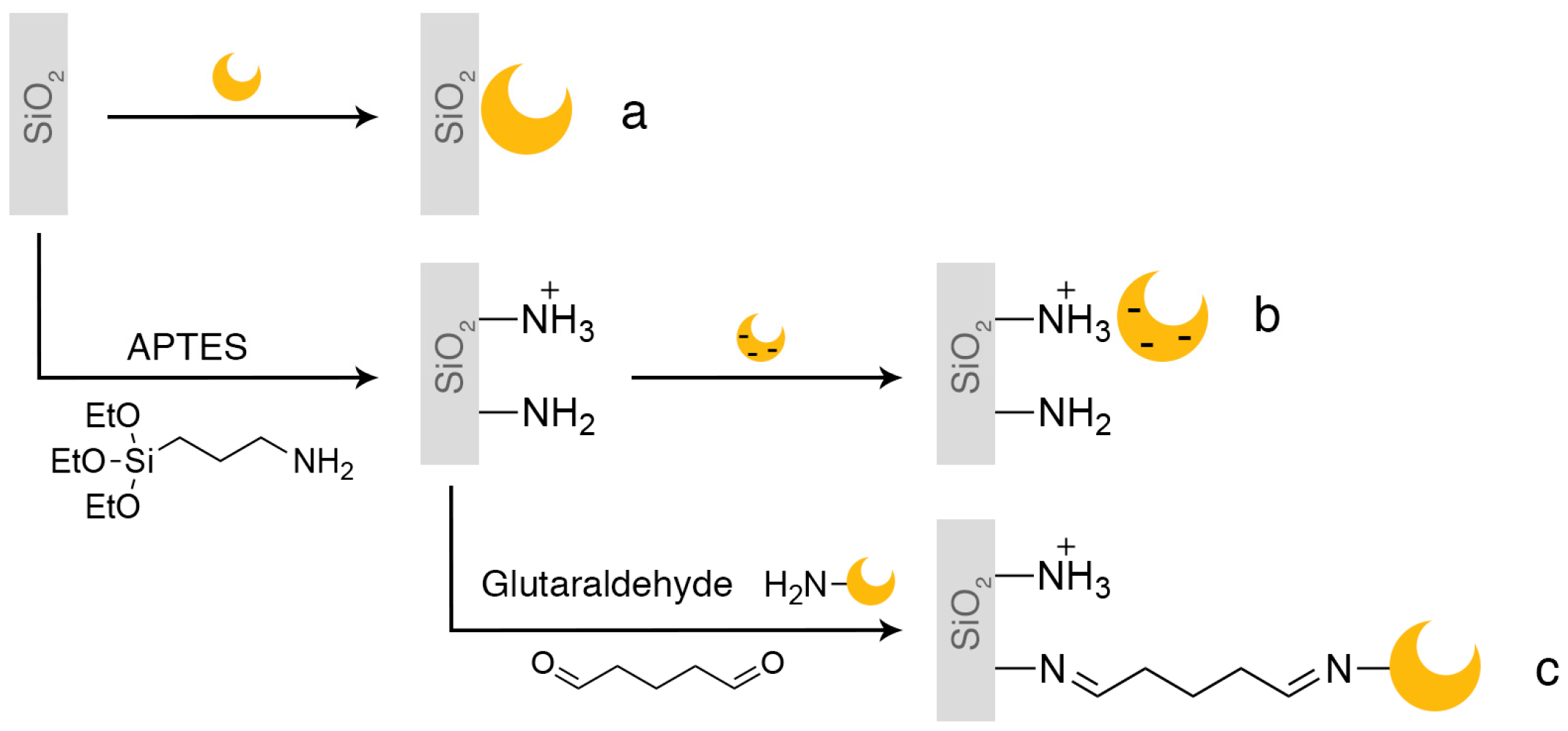Catalysts 07 00054 g002