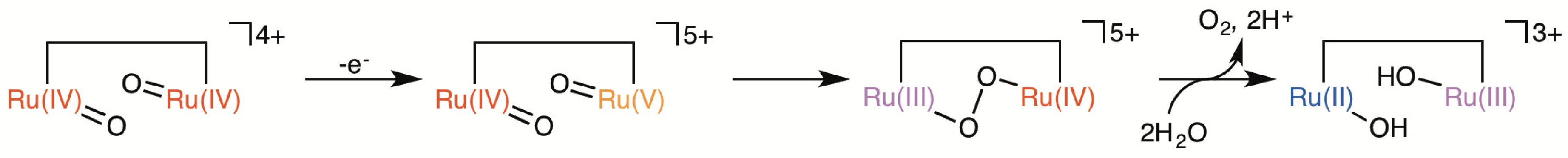 Catalysts 07 00056 sch006