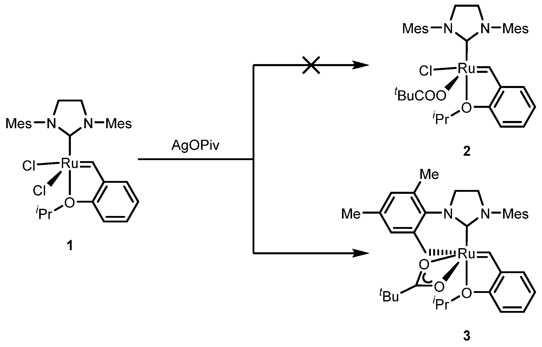 A novel ligand for the enantioselective ruthenium-catalyzed olefin metathesis