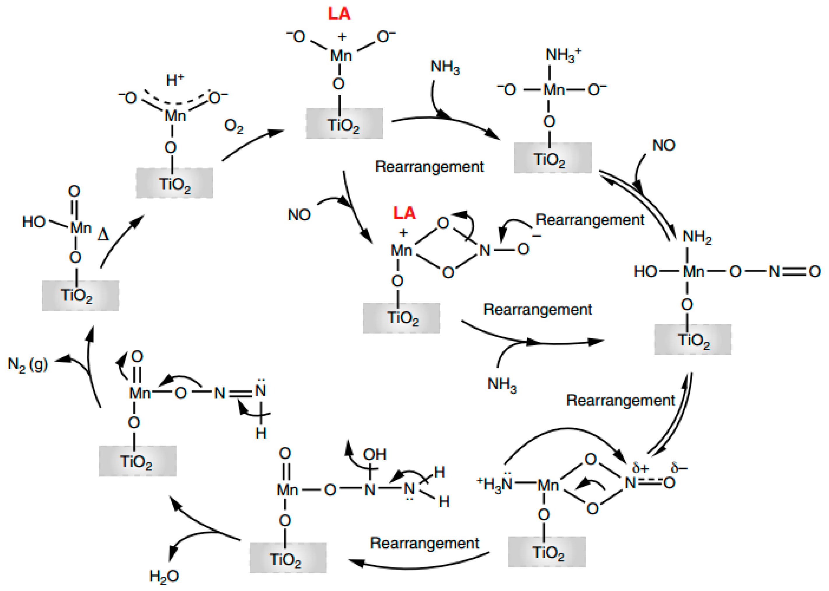 download modified nucleic acids in