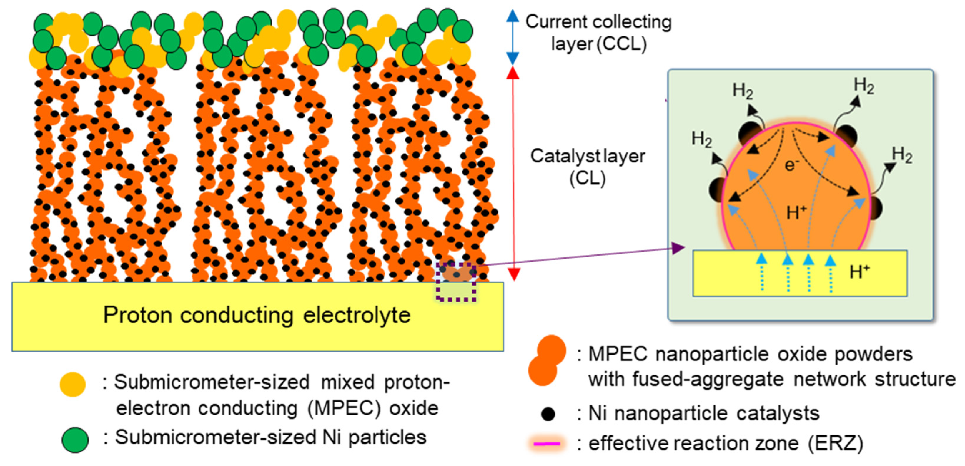 Catalysts 07 00223 g001