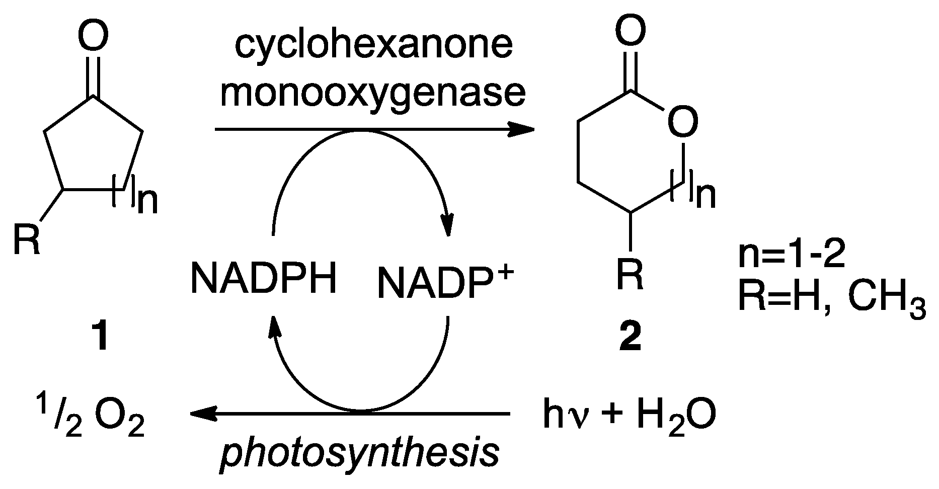 Catalysts 07 00240 sch001
