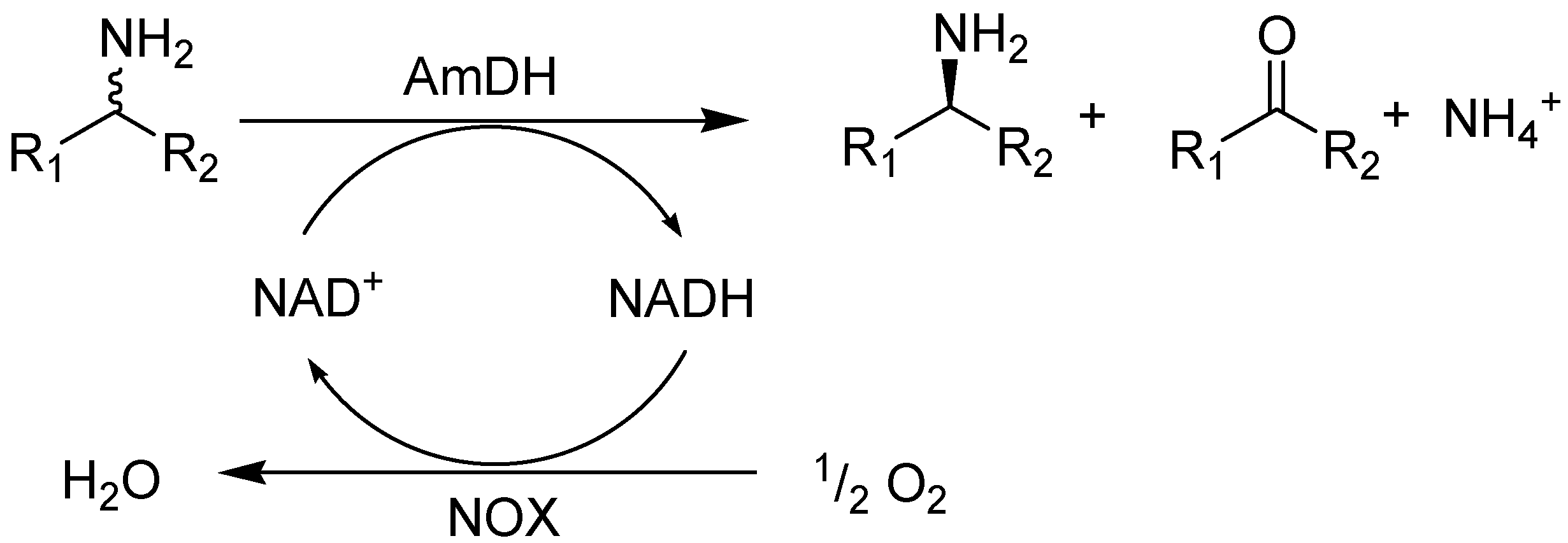 Catalysts 07 00251 g001