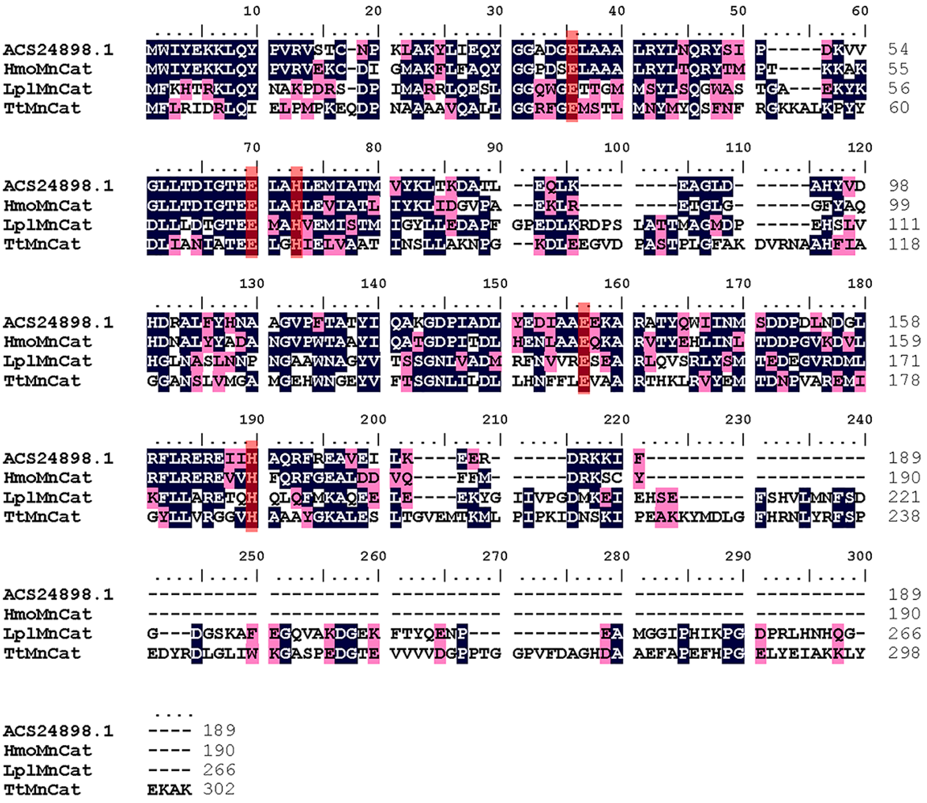 Catalysts 07 00277 g002