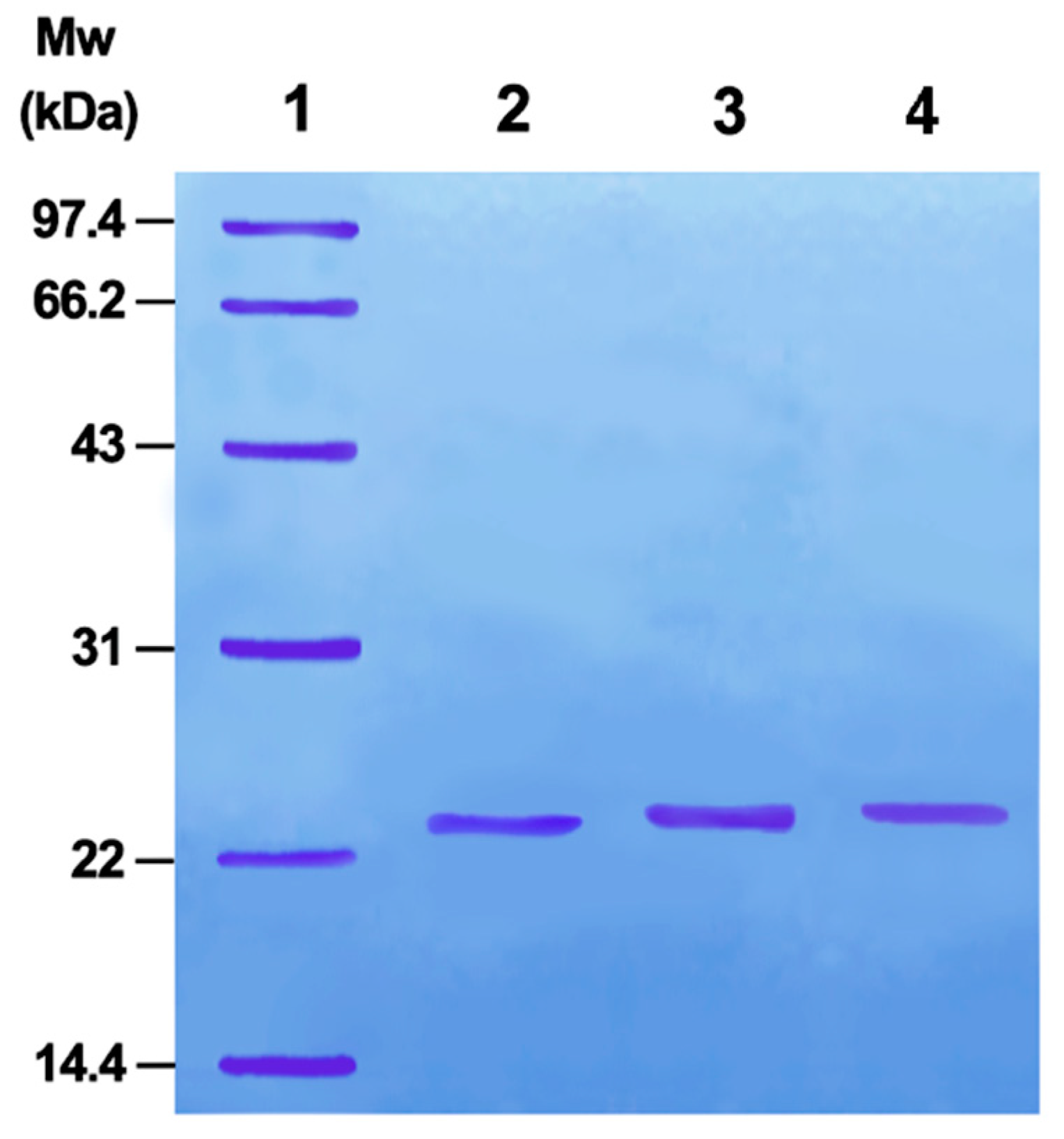 Catalysts 07 00282 g001