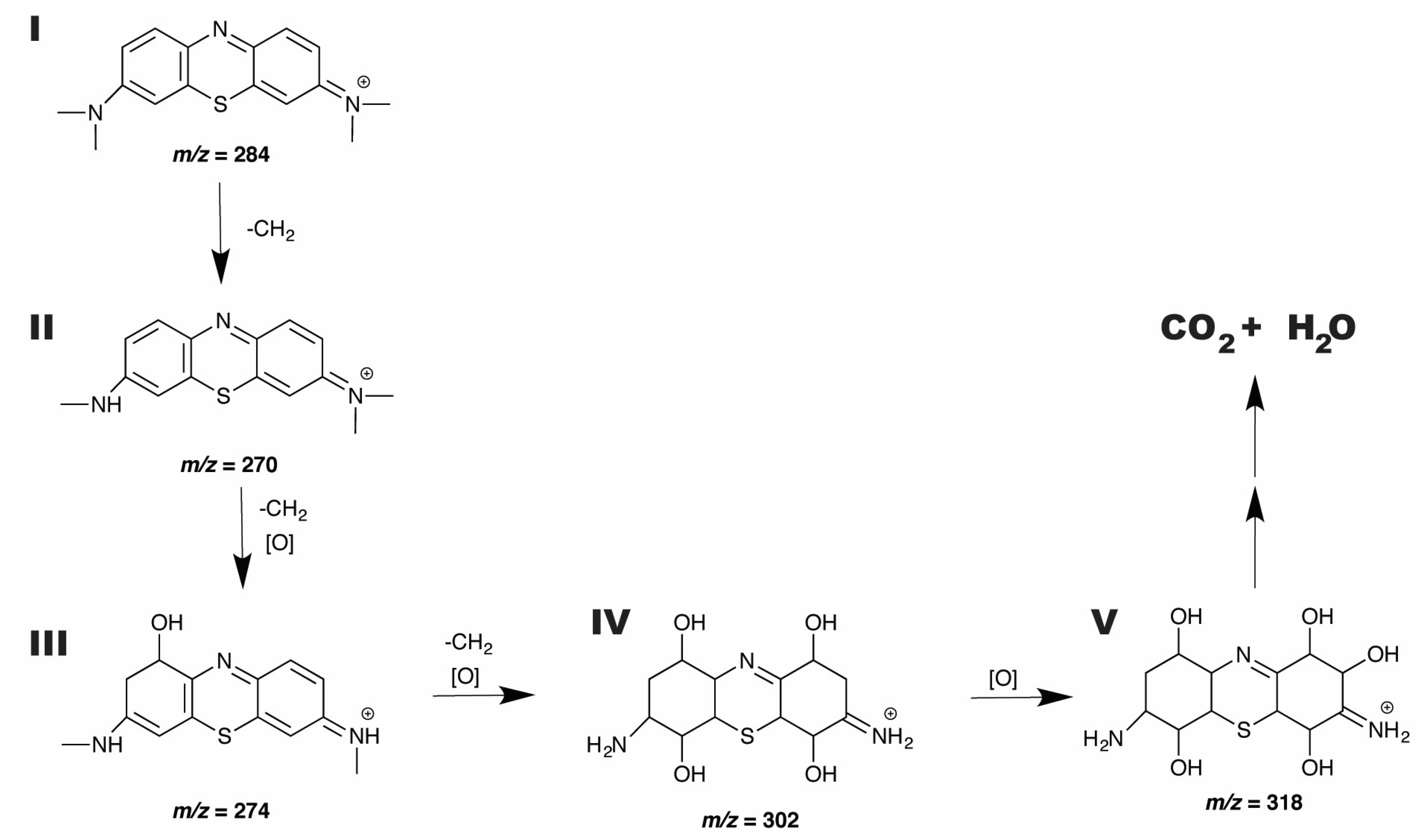 Catalysts 07 00283 g012