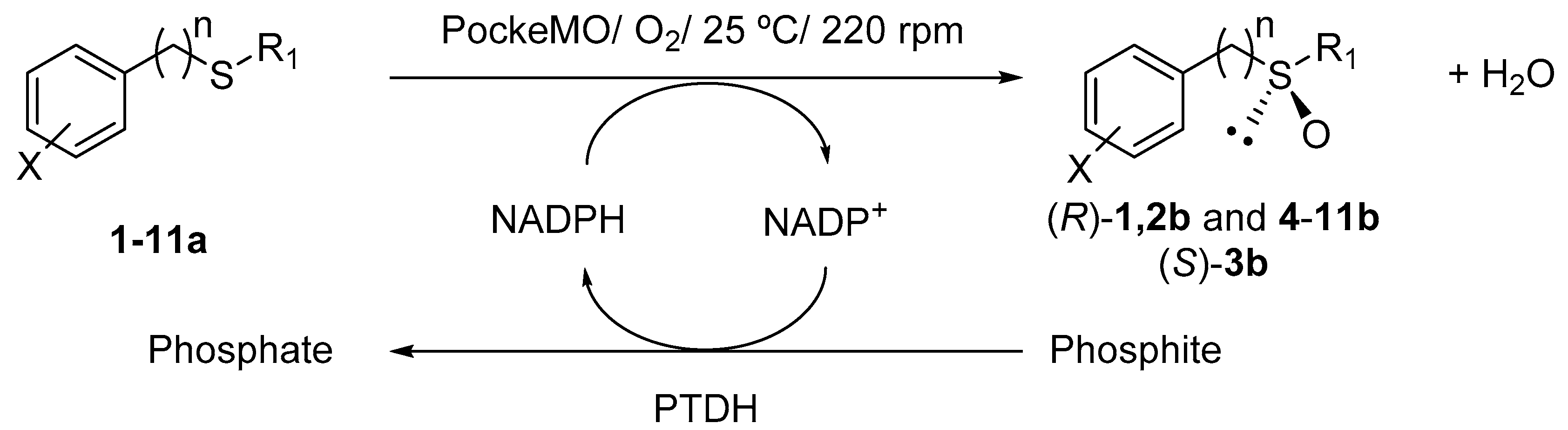 Catalysts 07 00288 sch001
