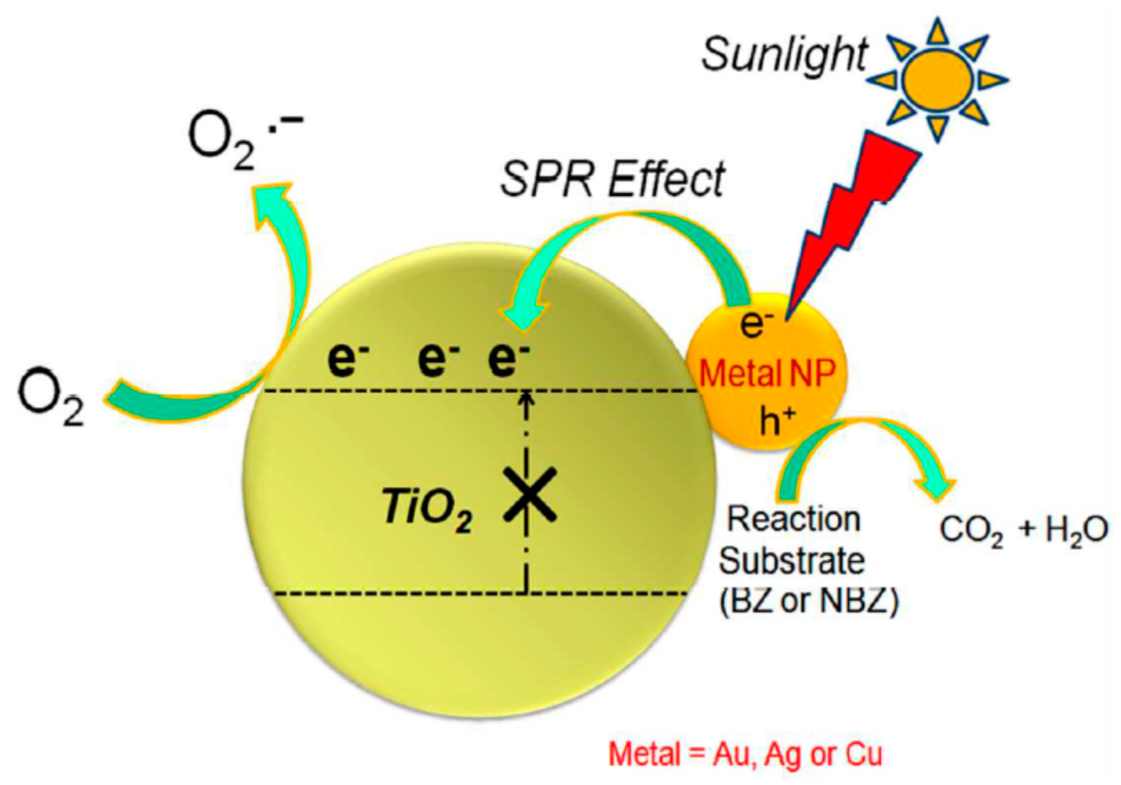 Catalysts 07 00317 g001