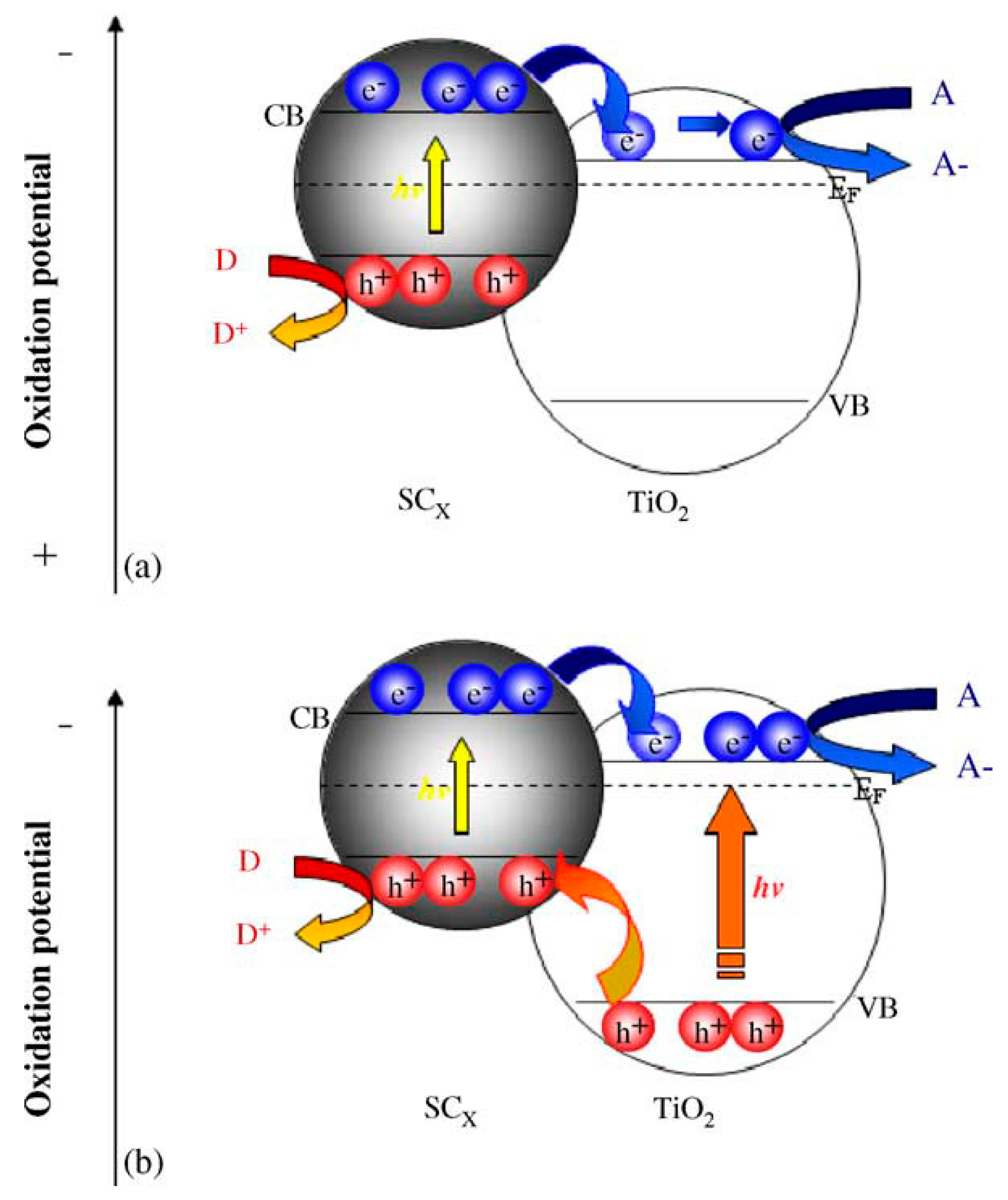 Catalysts 07 00317 g003