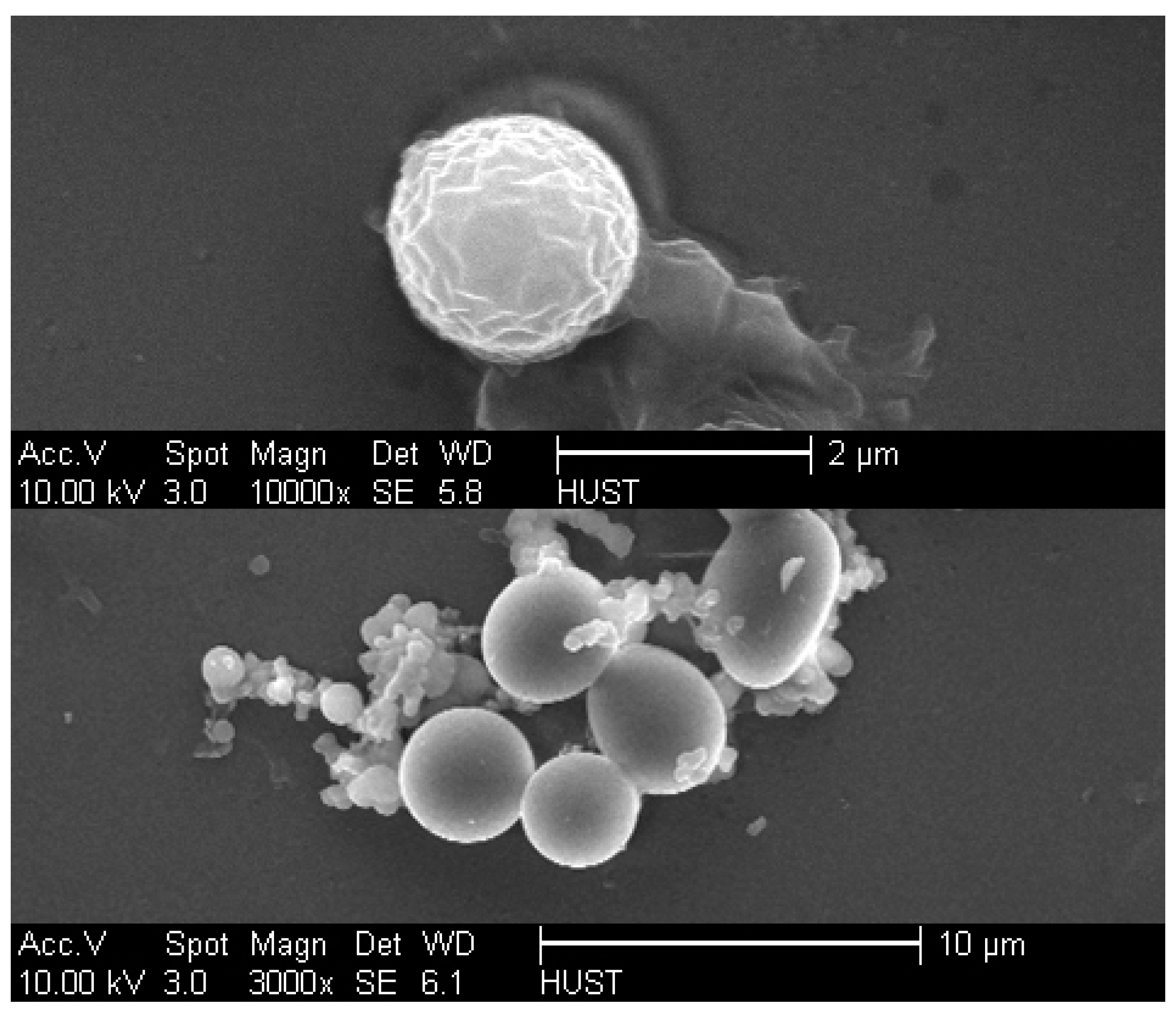 Catalysts 08 00013 g001