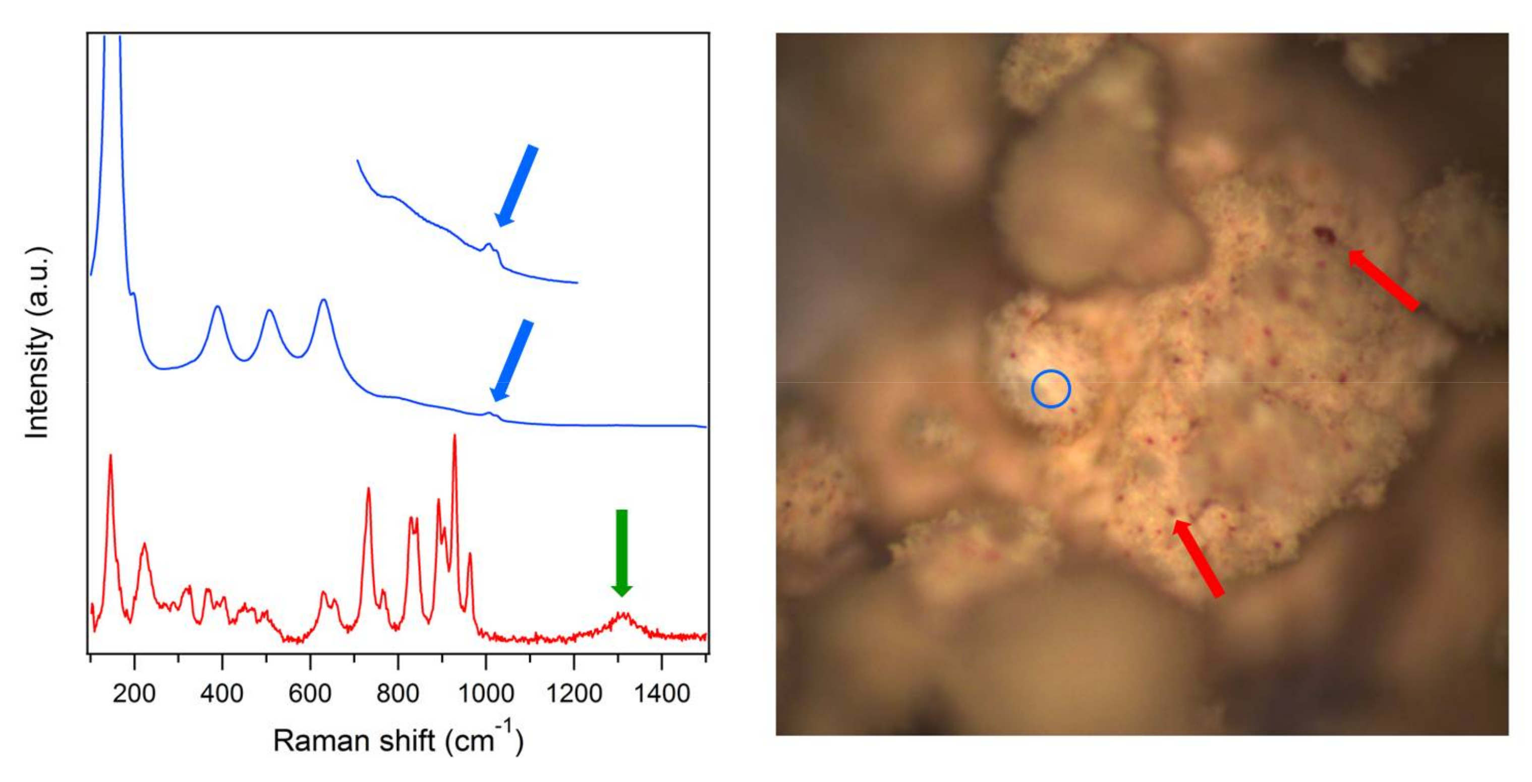 Catalysts 08 00130 g002