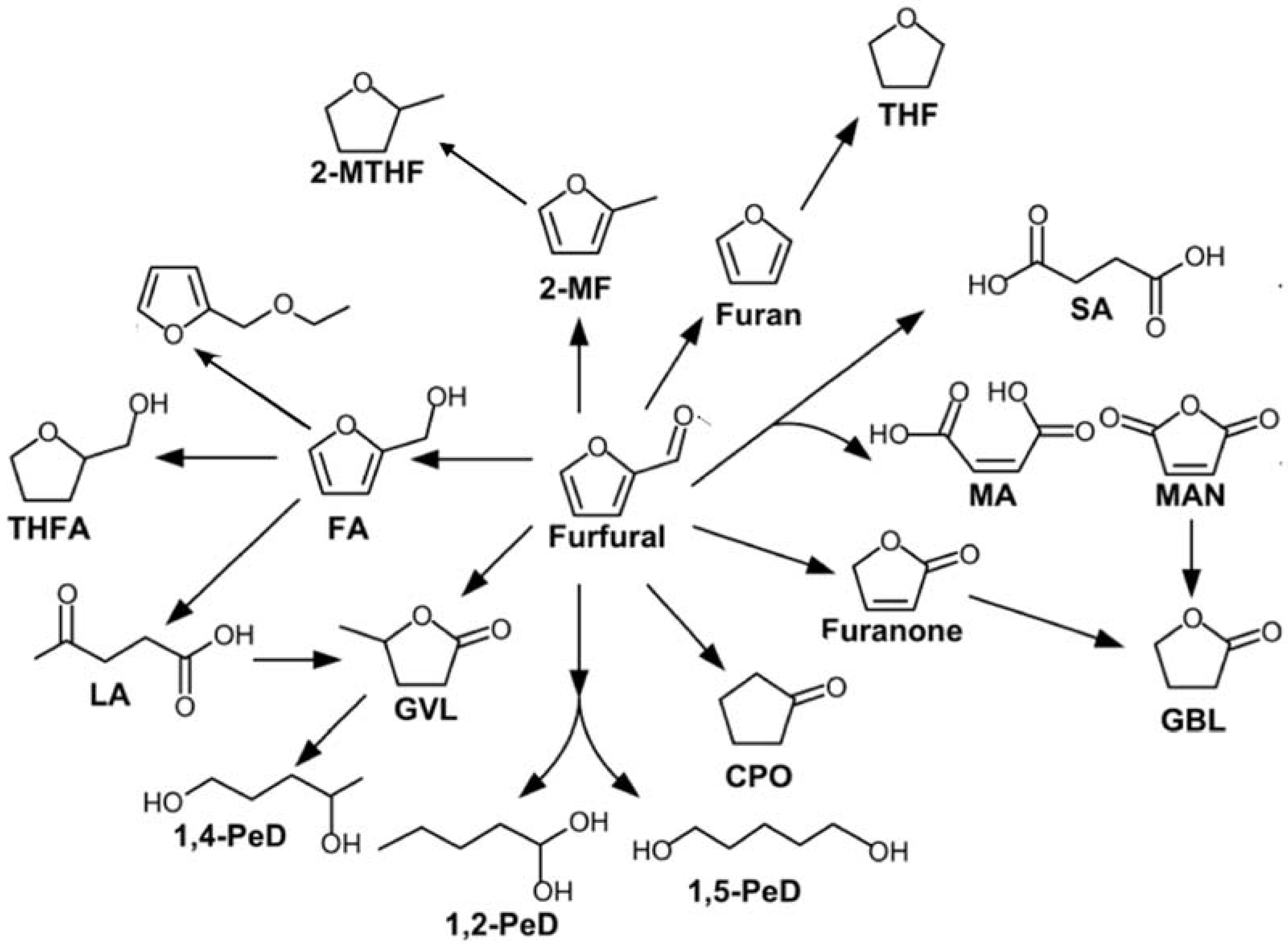 Catalysts 08 00313 g002