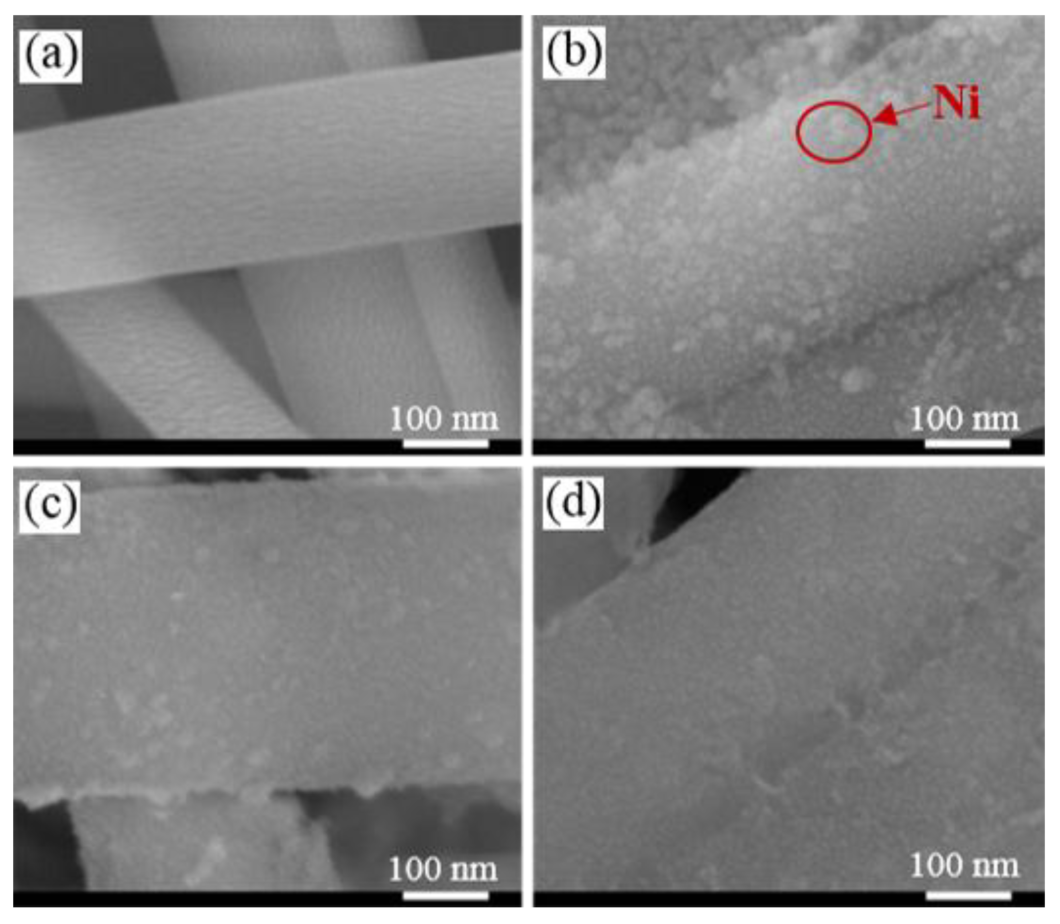 Catalysts 08 00319 g002