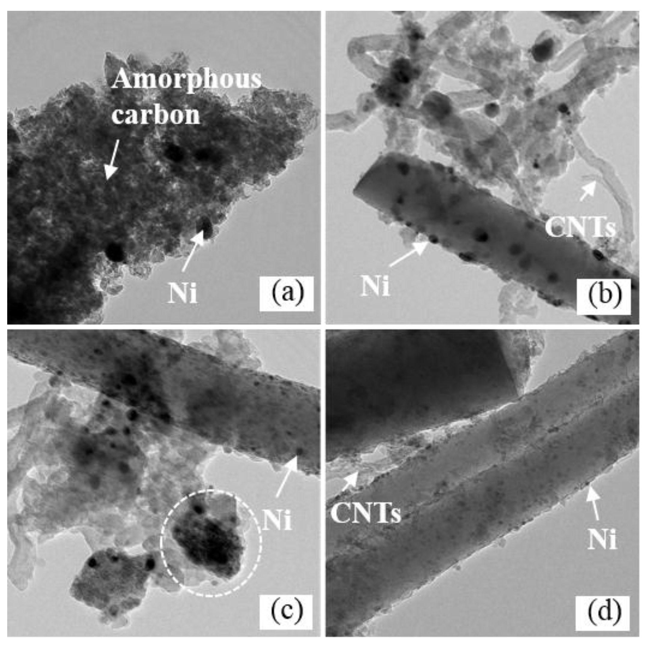 Catalysts 08 00319 g009