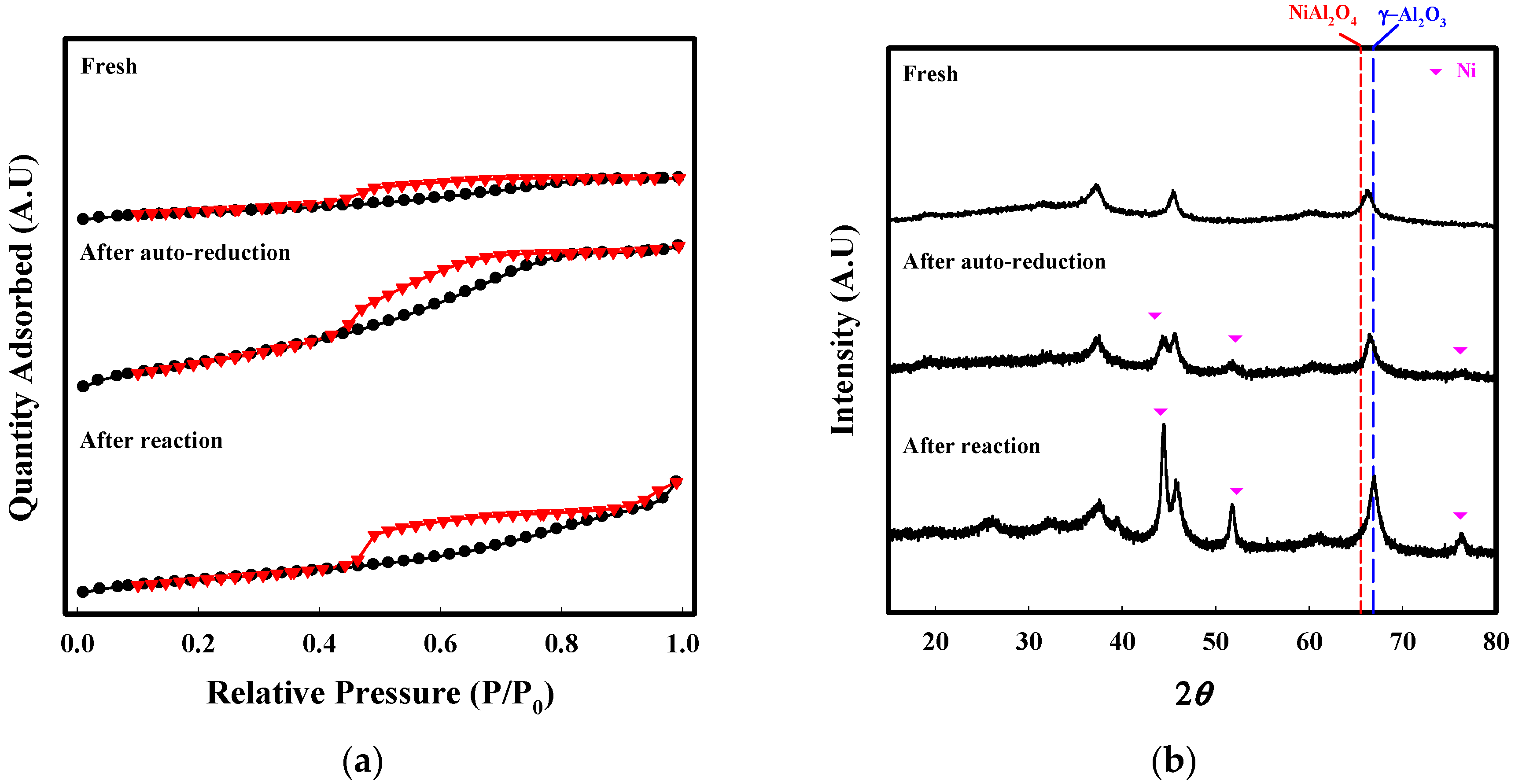 Catalysts 08 00371 g011