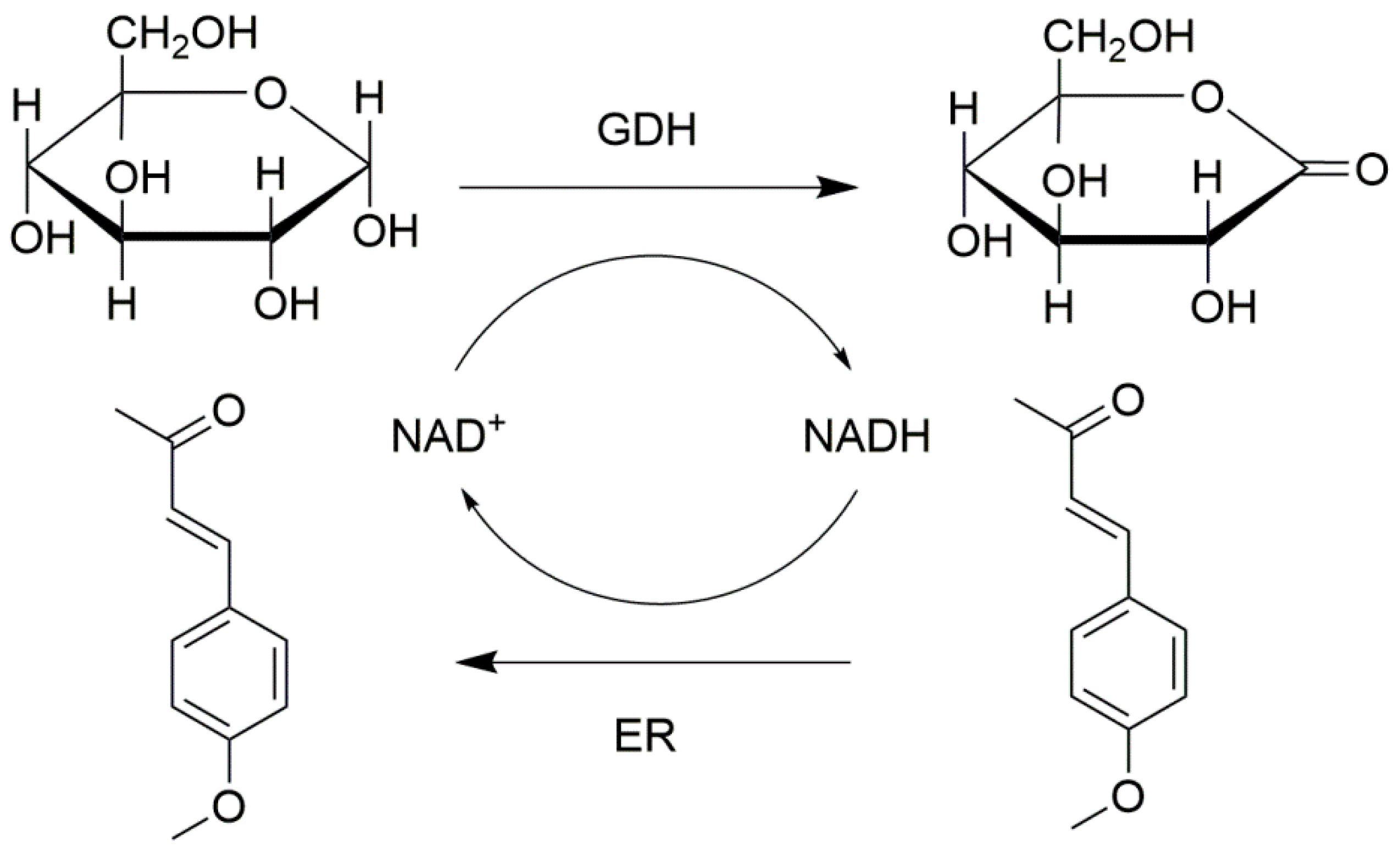 Catalysts 08 00460 g007