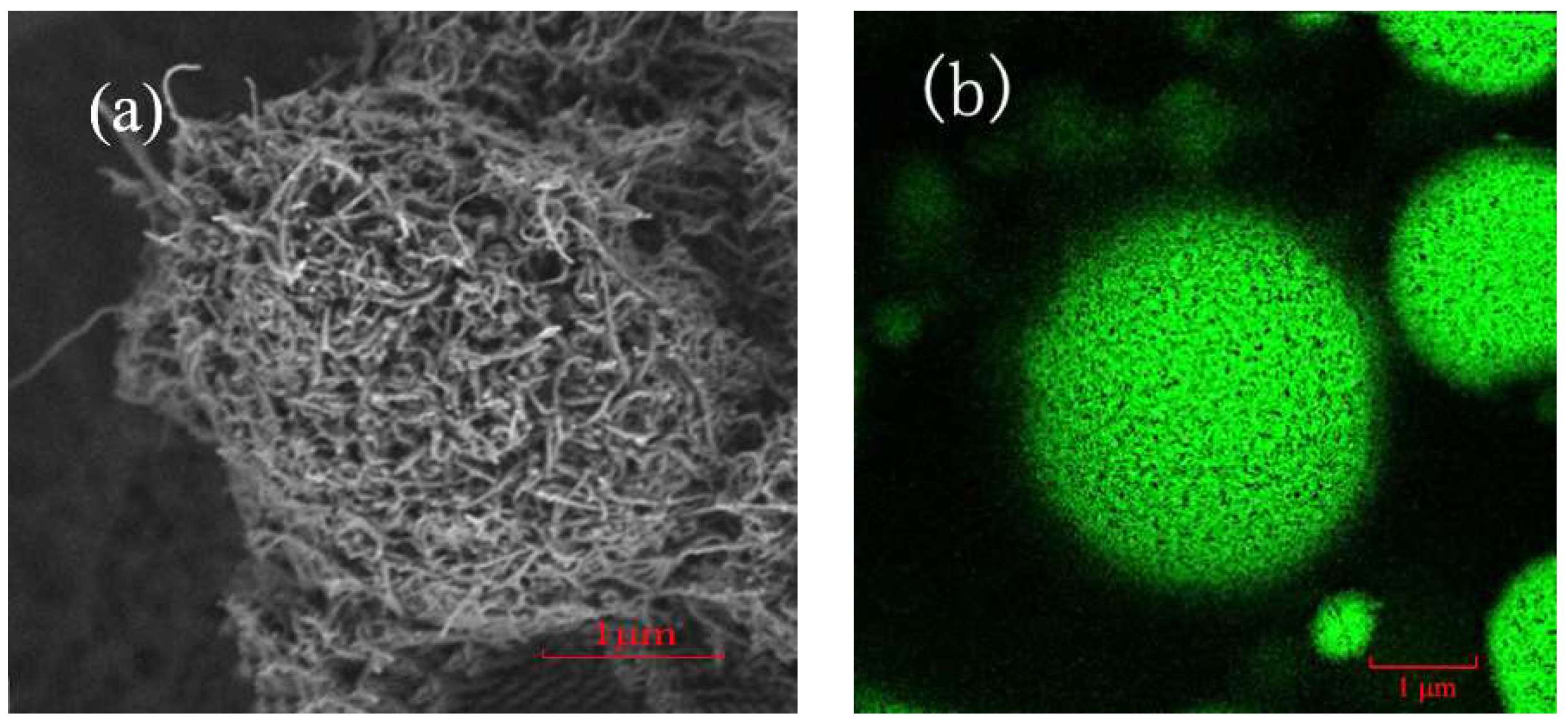 Catalysts 08 00587 g004a