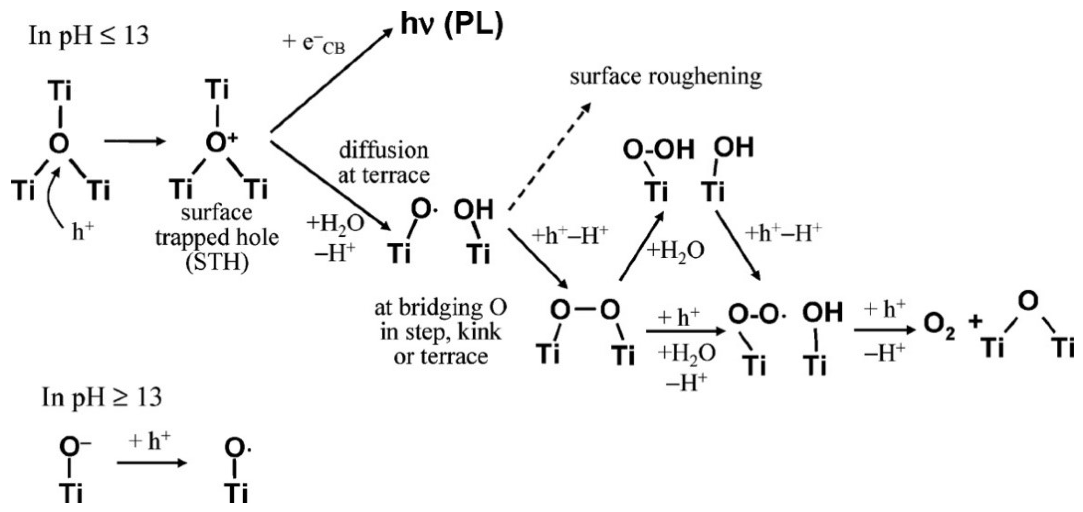 Catalysts 08 00601 g017